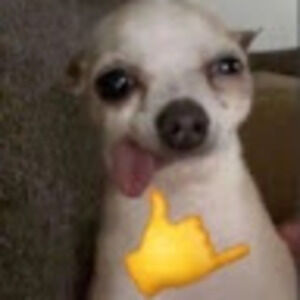 Meet your Posher, Annie